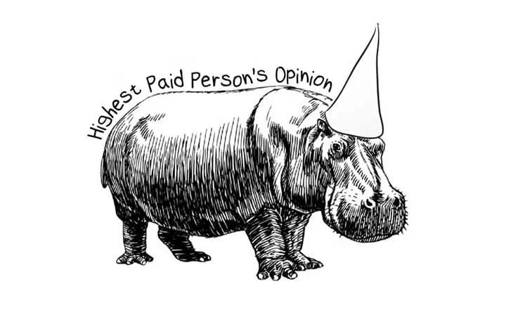 A hippo with highest paid person's opinion written on the back